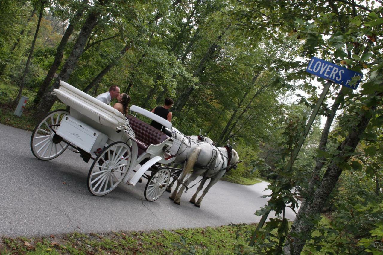 Forrest Hills Mountain Resort Далонега Экстерьер фото